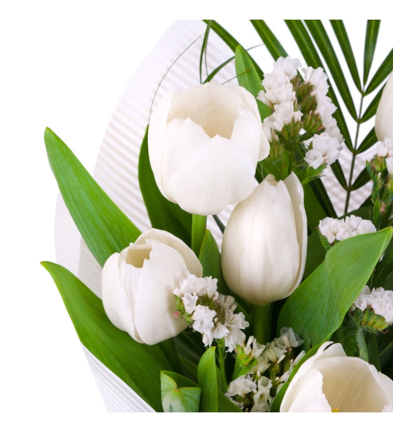 Lale Buketi White Dream
