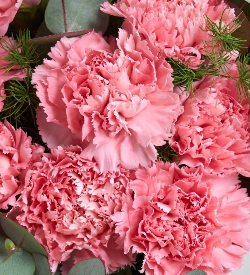 Pembe Karanfil Buketi 11'li