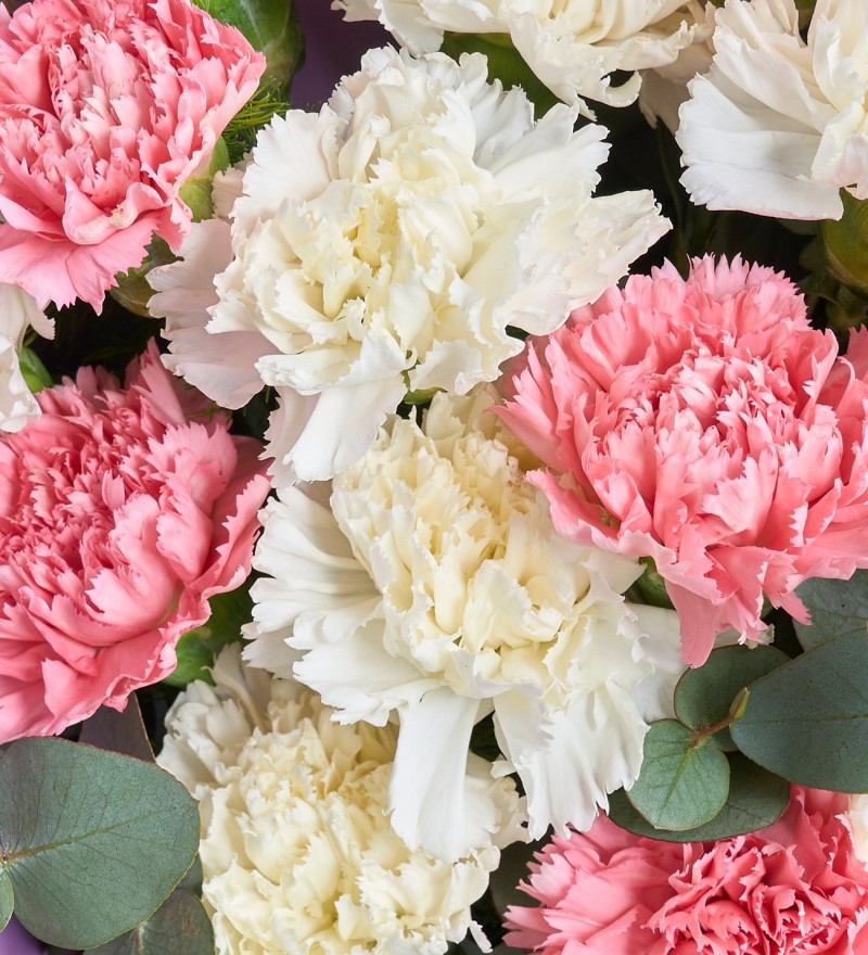 Pembe ve Beyaz Karanfil Buketi 18'li