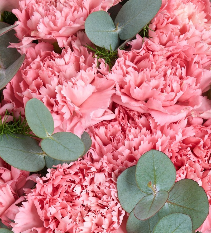 Akvaryum Vazoda 15'li Pembe Karanfil