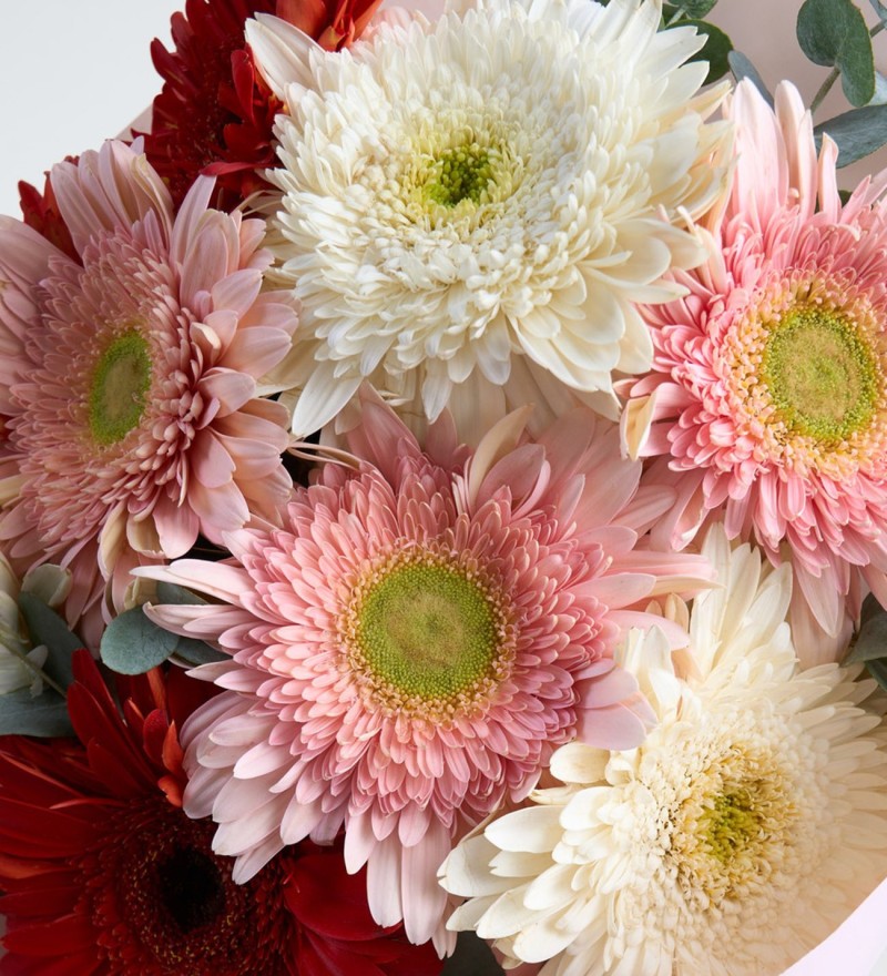 Gerbera Buketi Aşkın 3 Tonu