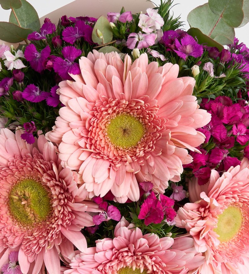 Gerbera Buketi Tatlı Düş