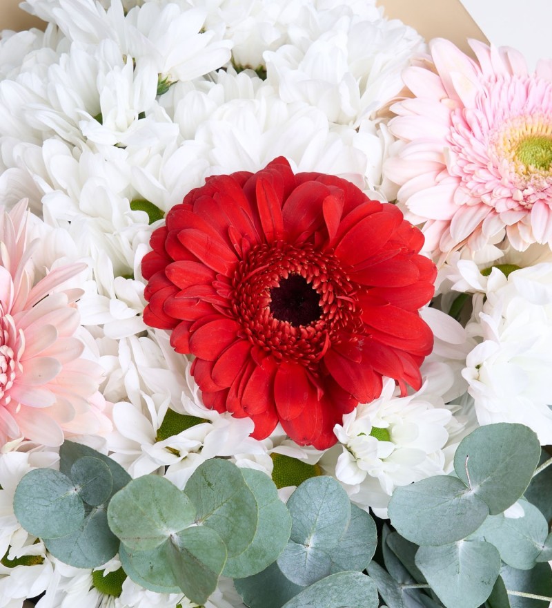 Gerbera Buketi Melek Kanadı