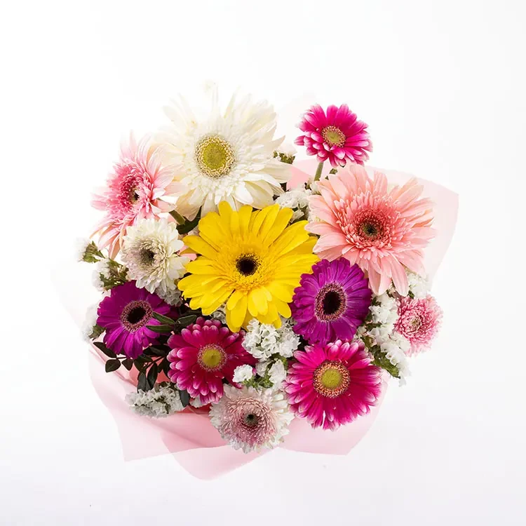 Cheerful Flowers