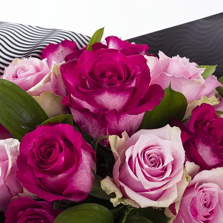 Royal Blush