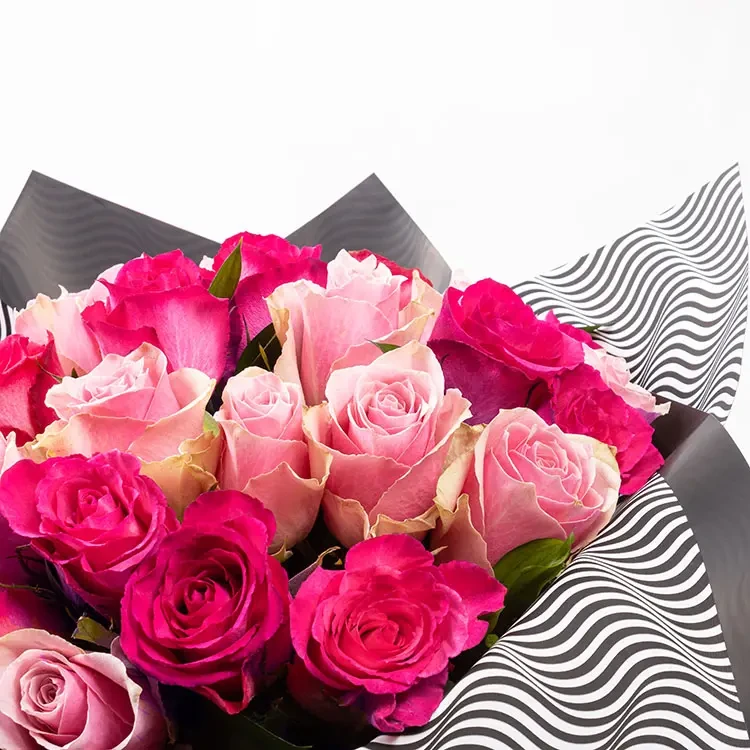 Royal Blush Extra